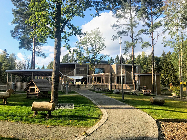Förskolans gård med natur och många träd.