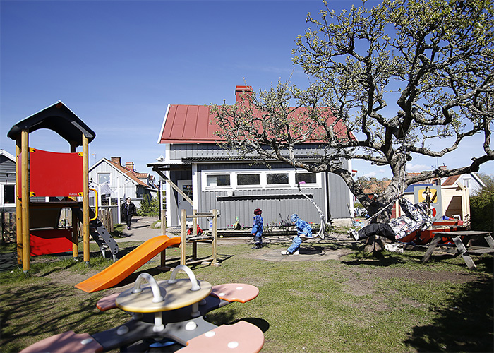 kotten