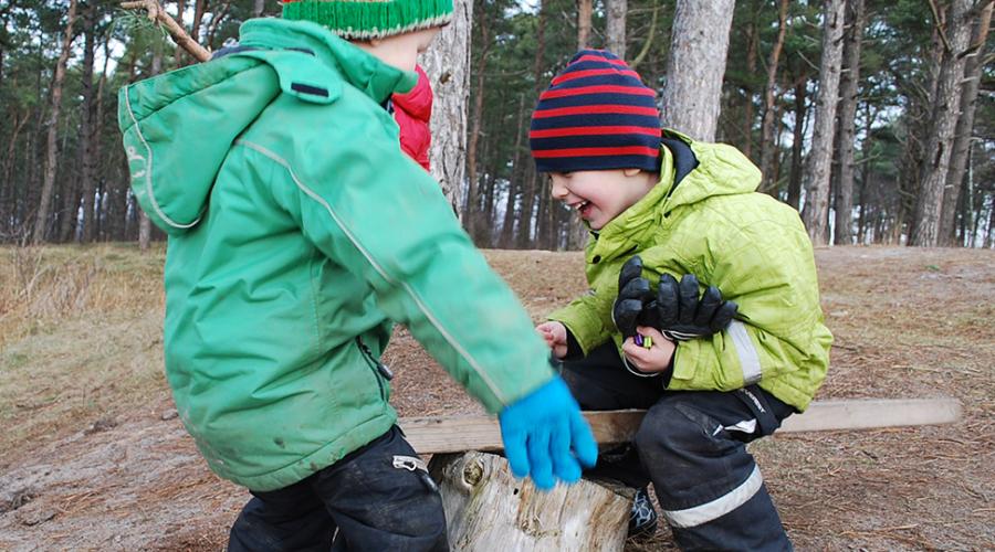 Två barn gungar på en gungbräda i skogen.