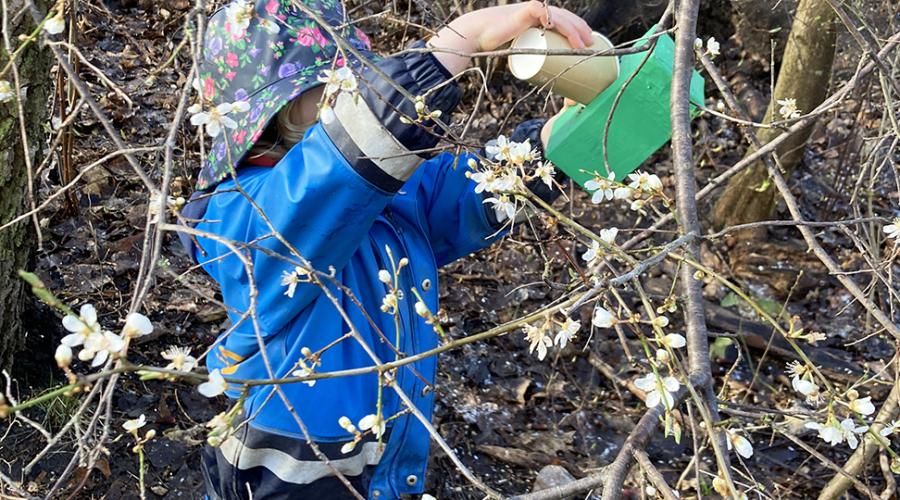 Förskolebarn experimenterar i trädgrenar